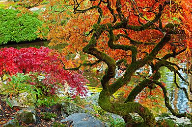 《泡泡龙 Everybubble！》故事系统情报 5月24日登陆Switch