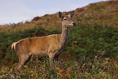 B社高管向玩家推荐纪录片：玩《星空》之前先看看